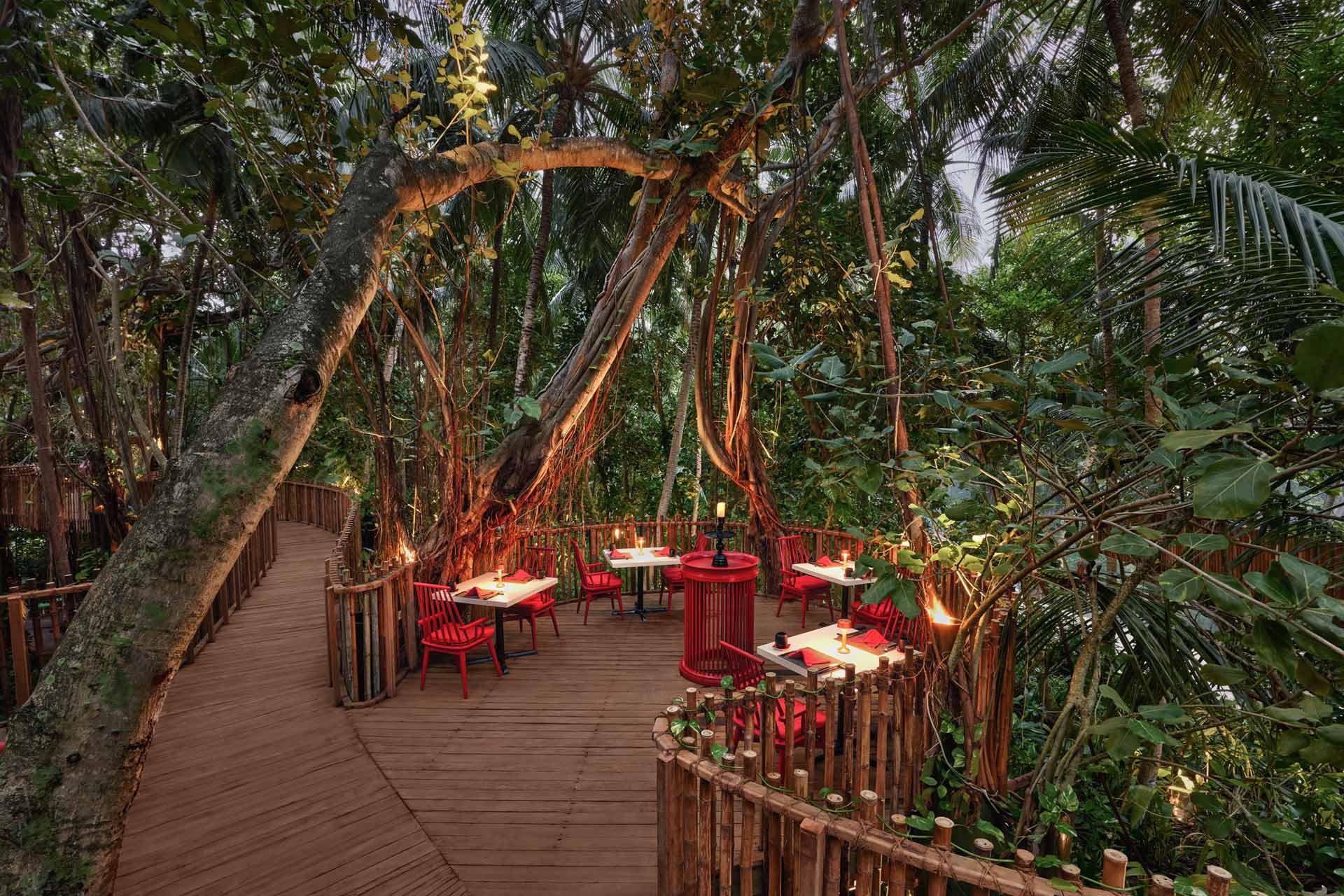 Niyama Private Islands Maldives reimagines jungle restaurant with new ...